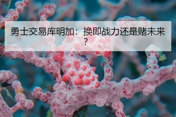 勇士交易库明加：换即战力还是赌未来？